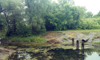 Экологические услуги от ПромМир-Збл в Изобильном - стоимость от 12466 руб.