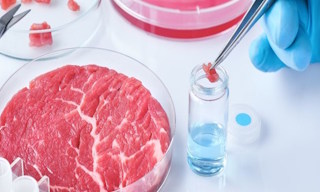 Лабораторный анализ пищевых продуктов по СанПиН в Изобильном в октябре